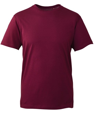 Picture of Anthem Organic Unisex T-Shirts