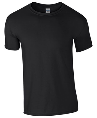 Picture of DEAL! 100 x Gildan Softstyle T-Shirts